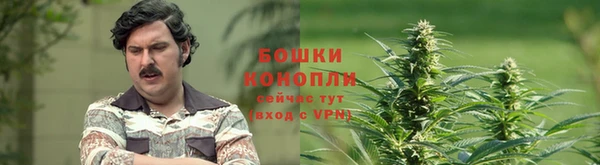 ГАЛЛЮЦИНОГЕННЫЕ ГРИБЫ Нягань