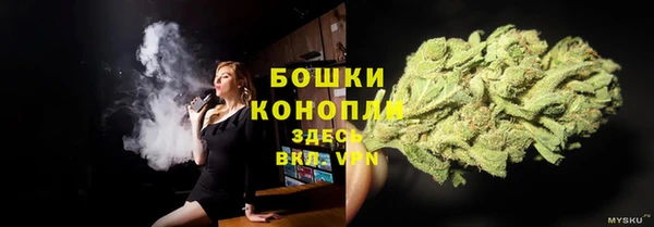 крисы Осинники