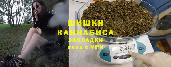 крисы Осинники