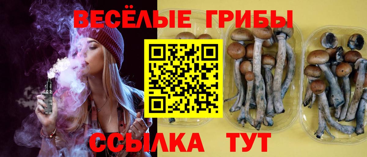 Галлюциногенные грибы Magic Shrooms Великий Новгород