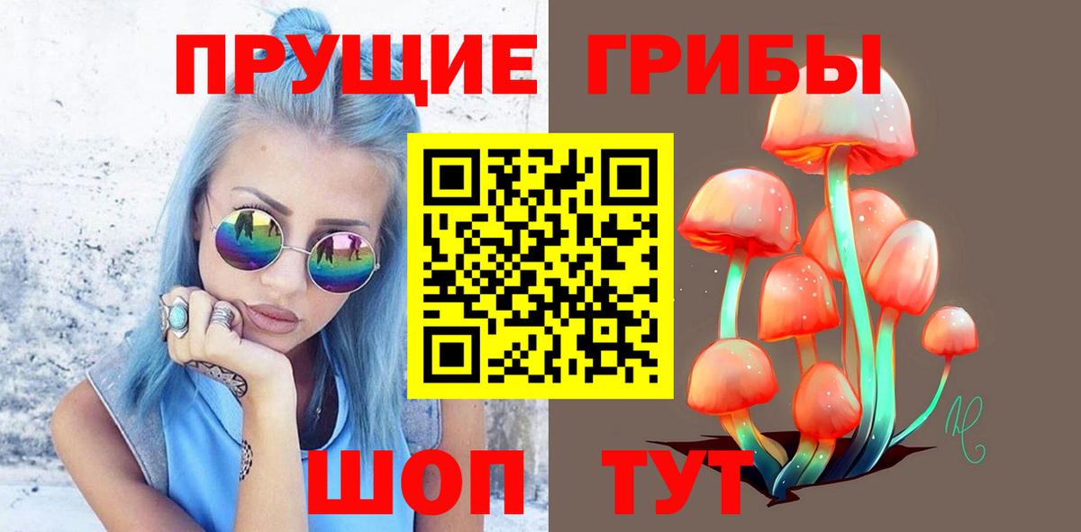 Великий Новгород  Галлюциногенные грибы Psilocybine cubensis  Вход с VPN 